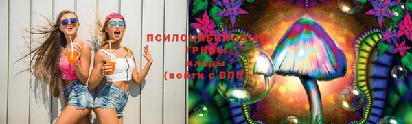 спиды Кодинск
