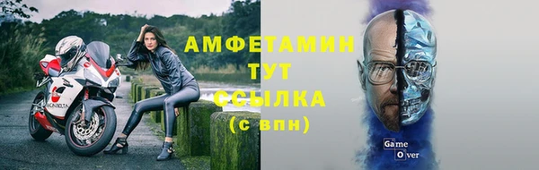 гашик Козельск