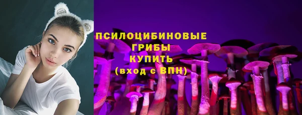 а пвп мука Киреевск