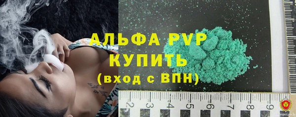 гашик Козельск