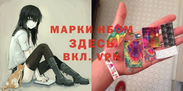 гашик Козельск