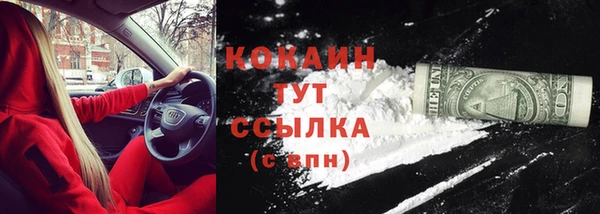 гашик Козельск