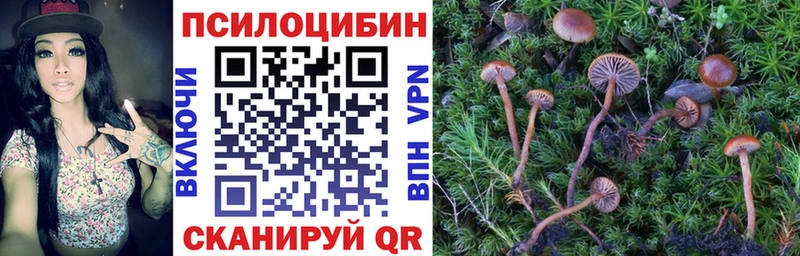 ссылка на мегу как войти  Южно-Сухокумск  Псилоцибиновые грибы Psilocybine cubensis 